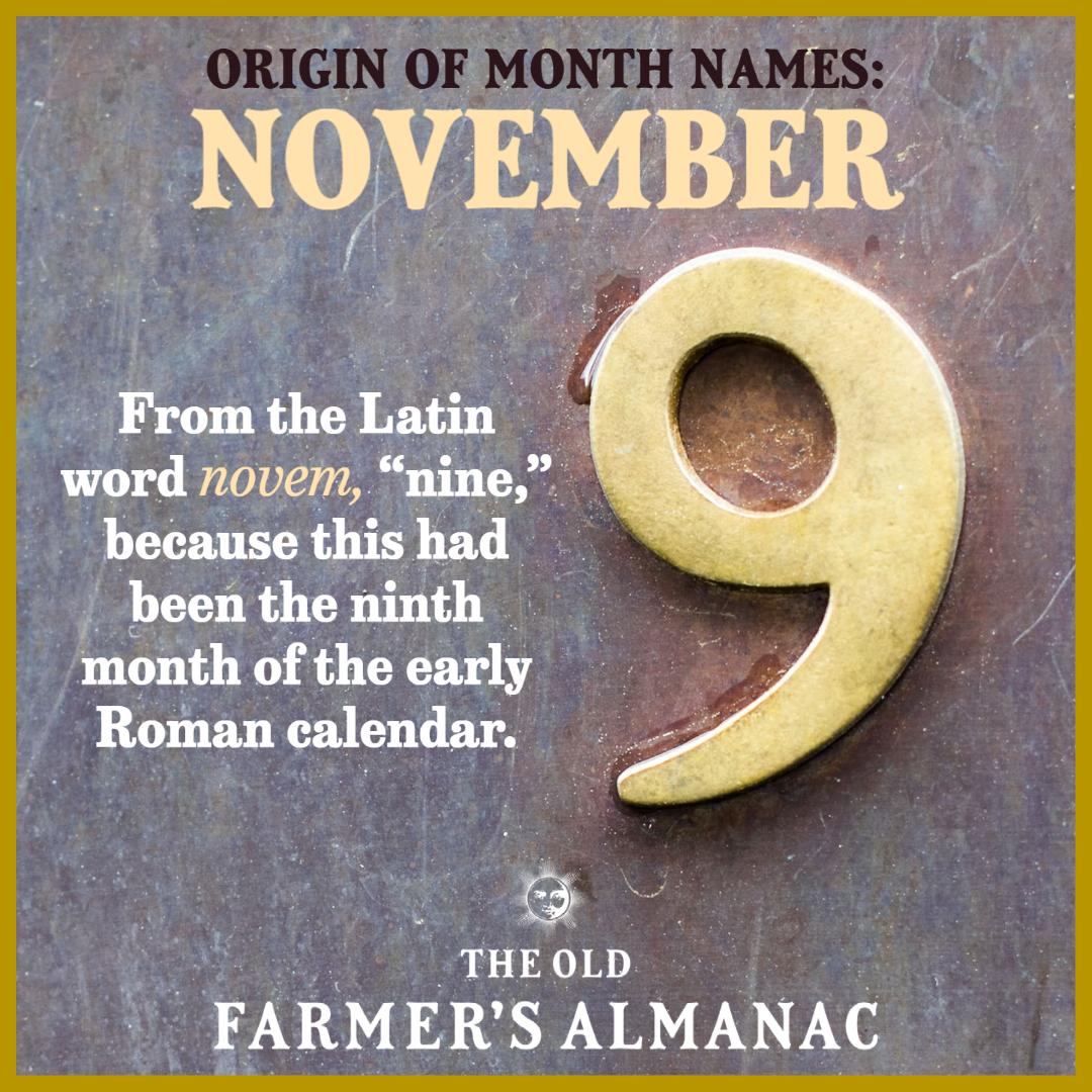 The Month of November 2024 Holidays, Full Moon, Recipes, and More